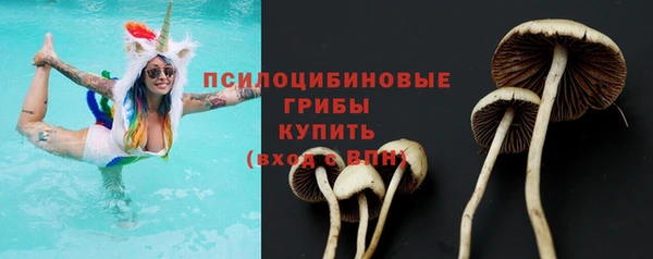 прущий лед Белокуриха