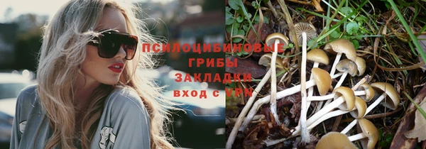 Альфа ПВП Белоозёрский